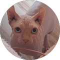 Avatar de Monique.a