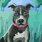 Người dùng: Anisha Panaj