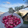 Created by
