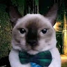 user_0bnm9oyagzhzdf8s member profile picture