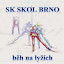 SKOL Brno (Owner)