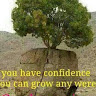 Created by