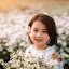 Ha Nguyên