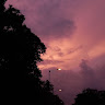 mansi shyam ghodke