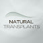 Miami Hair Transplant Clinic (Owner)