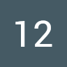 12 Burgir