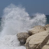 חיים ג'ייקובס's photo