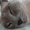user_6xuc5y96v75mjhtk member profile picture