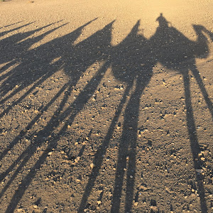 Mark Prentice - @mark.prentice7 - TikTok