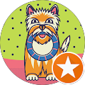 Avatar de jean-claude.o