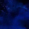 Gio_Sehark
