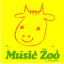 MUSIC ZOO