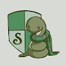 Slytherin House