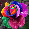 Created by