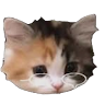 Milo Cute