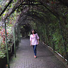 dwi ellybudiarti