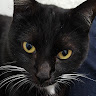 Gabriel