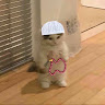 user_jh5l7kkapdoediqq member profile picture