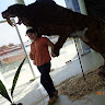 Created by