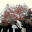 ARBOREOS DE JEREZ (Owner)