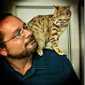 Paul Wood's avatar