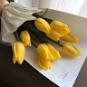 Created by