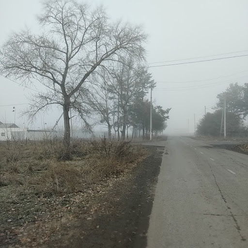 — Неор