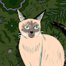 Cozywhisker2376