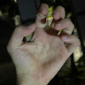 user-avatar