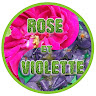 Boutique de Thés Rose et Violette
