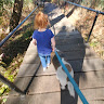 Luna_Fuzzy_Cat
