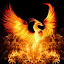 Eagle “Phoenix” Dicro