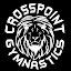 Roth's CrossPoint Gymnastics (Owner)