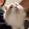 user_oagoxl2g74n6w9f2 member profile picture