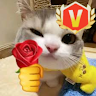 Rexst