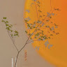 Noreen Zeng