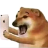 user_s4ewzn0m0gyed9bi member profile picture