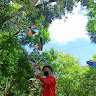 Roshan Laishram
