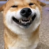Thu Lê