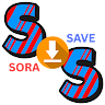 Sora Save