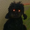 infoweiew988's Avatar