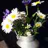 Foto von Kaisa H