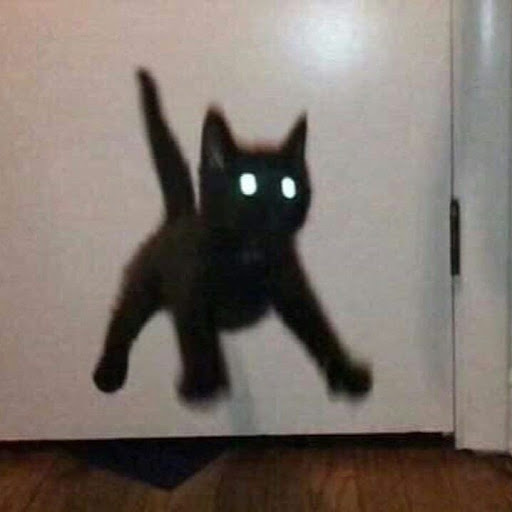 ㅤ