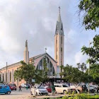 Uživatel: Delfina Fina