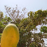 user_6ta2x752w4tcrsln member profile picture