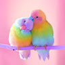 User ID : 476572