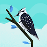 chifeng fang avatar