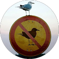 Avatar de Nicolas.a