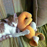 שירה סופר's photo