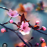 Created by